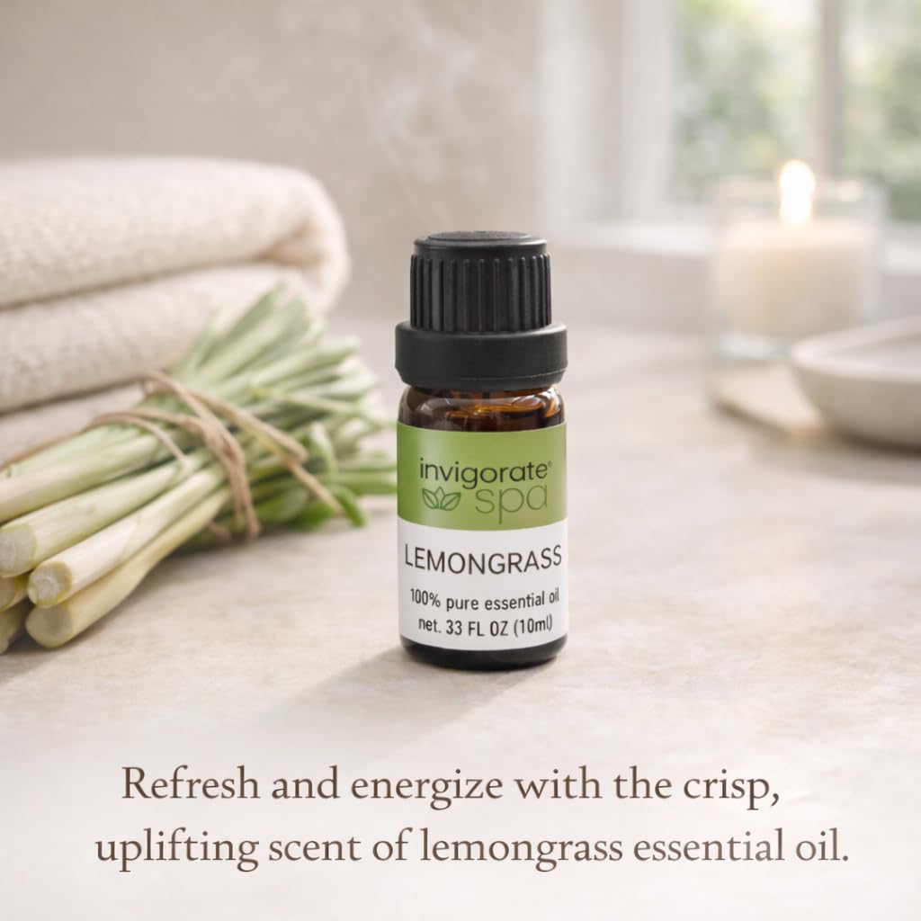 6-Pack Essential Oil Set Diffuser Oils Variety 6x10ml Home Office Aromas