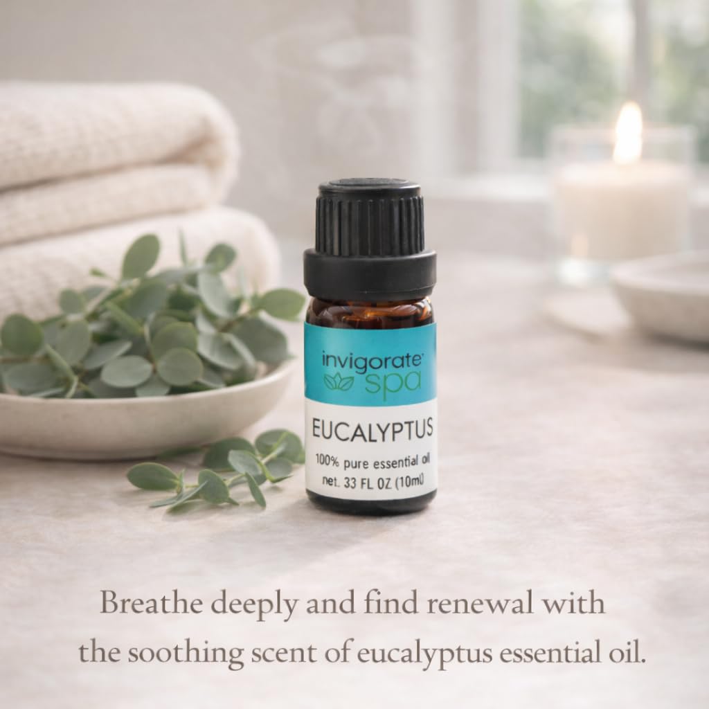 6-Pack Essential Oil Set Diffuser Oils Variety 6x10ml Home Office Aromas