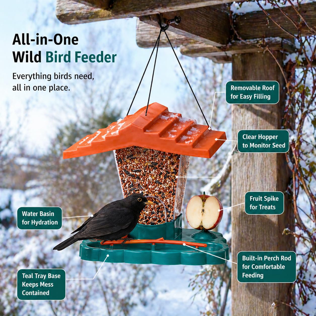 Wild Bird Feeder