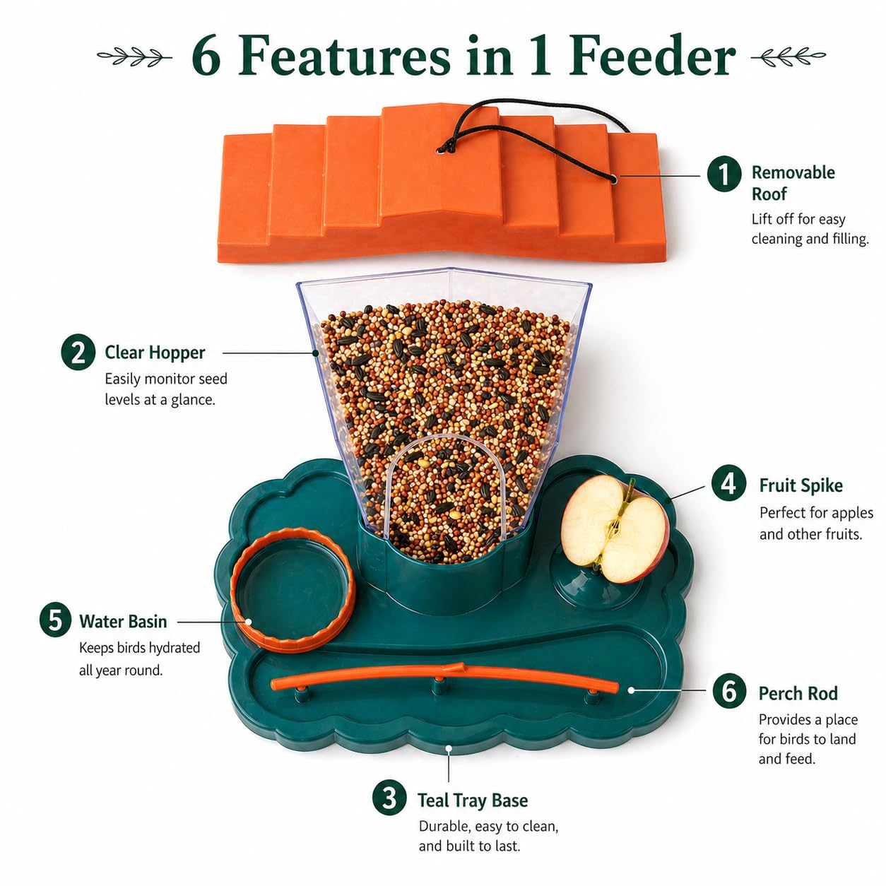 Wild Bird Feeder