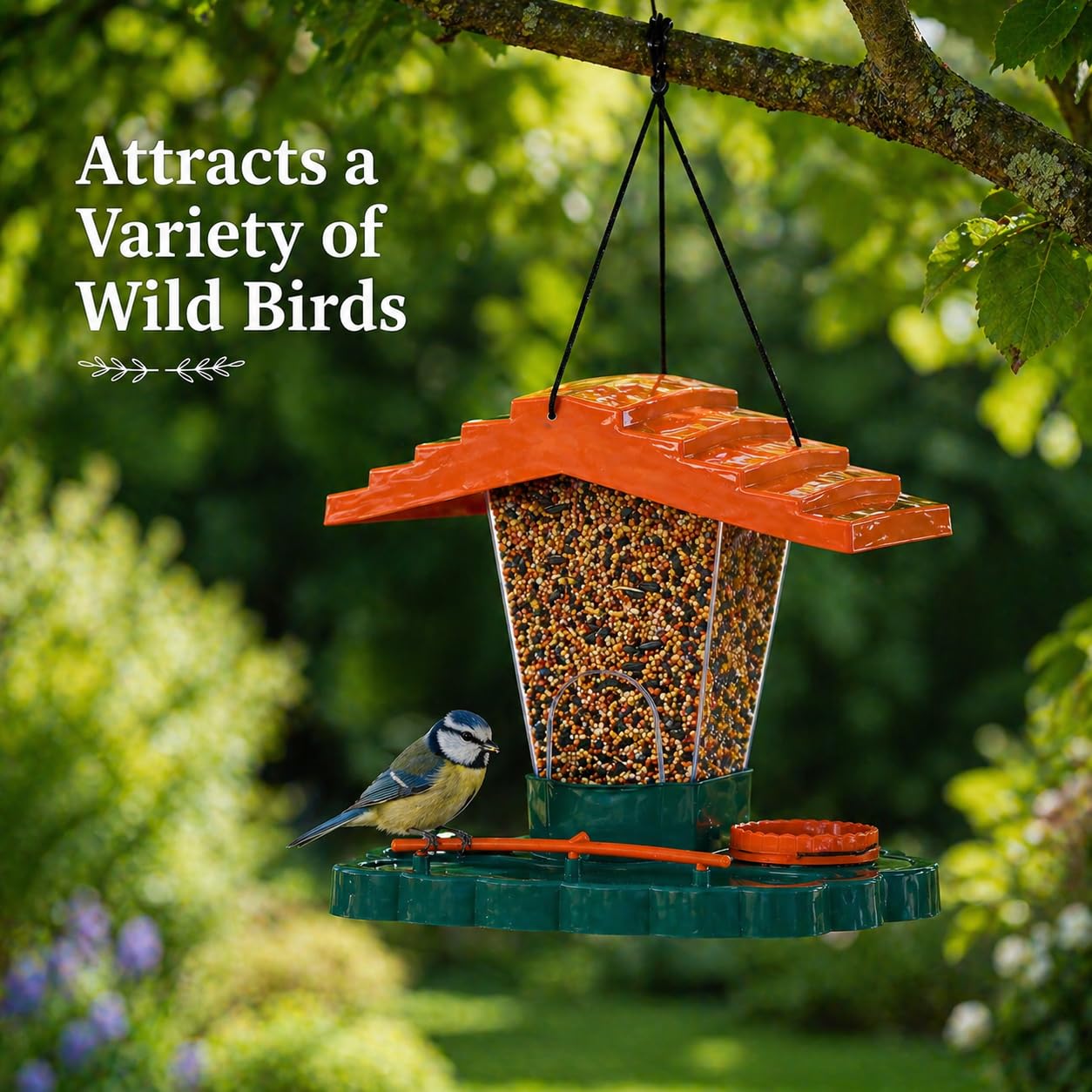 Wild Bird Feeder
