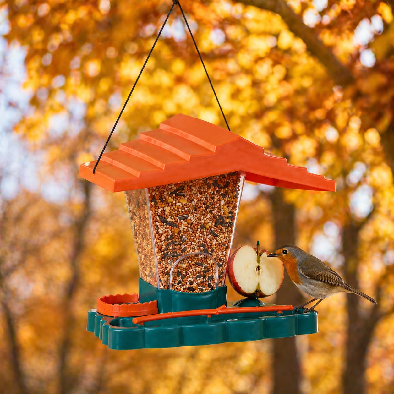 Wild Bird Feeder