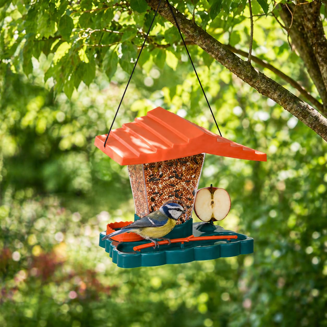 Wild Bird Feeder