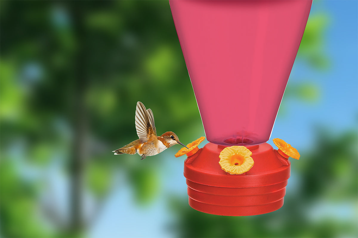 Glass Hummingbird Feeder â€“ Attracts Birds with Nectar and Color