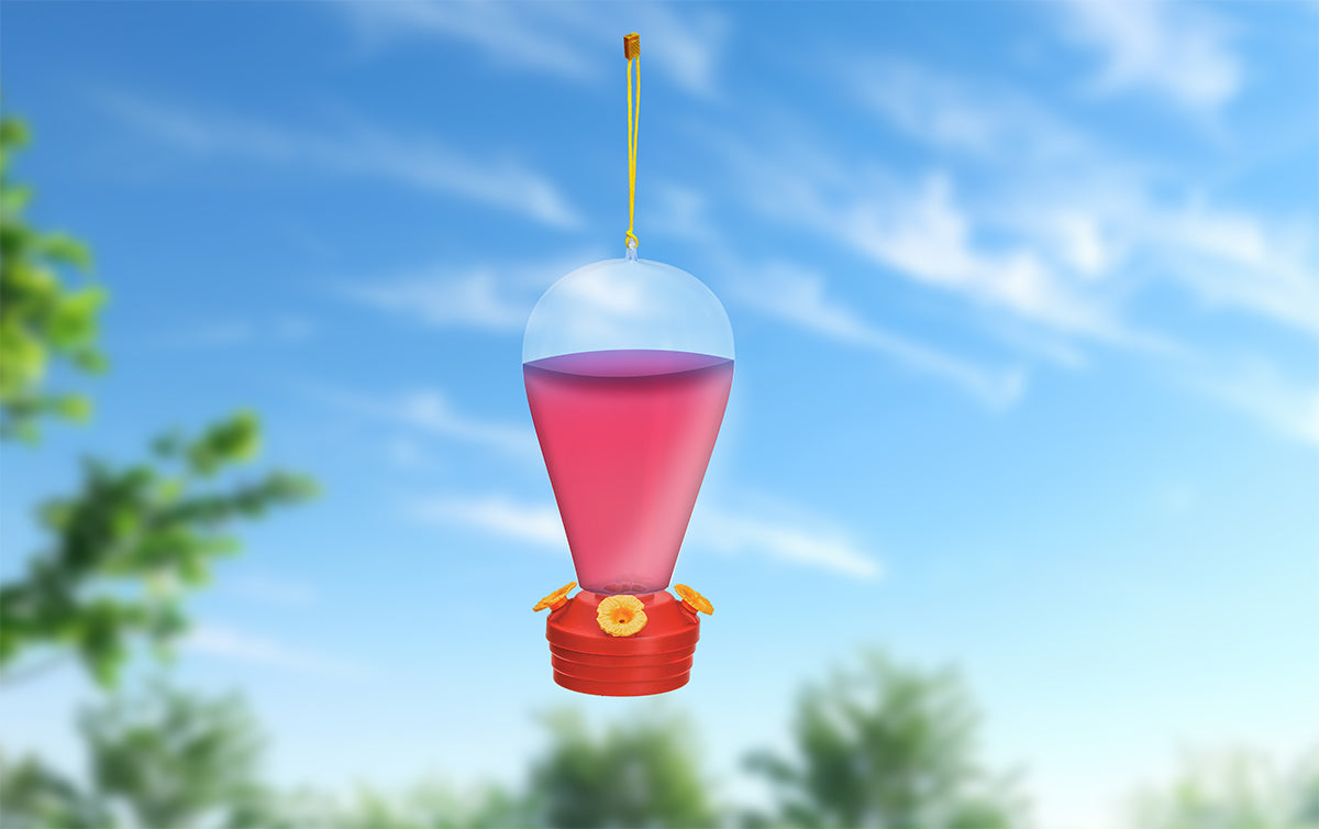 Glass Hummingbird Feeder â€“ Attracts Birds with Nectar and Color
